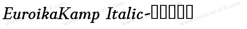 EuroikaKamp Italic字体转换